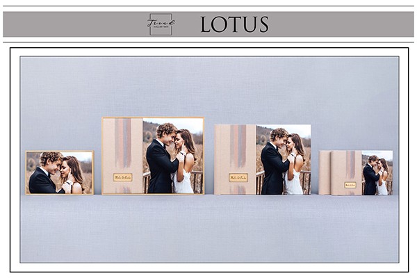 LOTUS